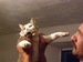 Олег Прокофьев фотография #27 (источник - https://vk.com/id127845749)
