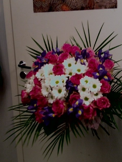 Полина Козлова | Санкт-Петербург