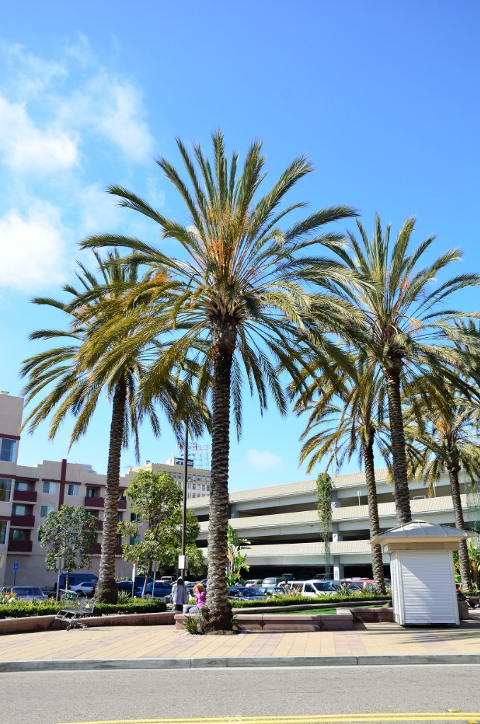 Максим Новиков | Херсон