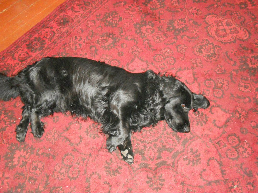 Алла Любовина | Петрозаводск