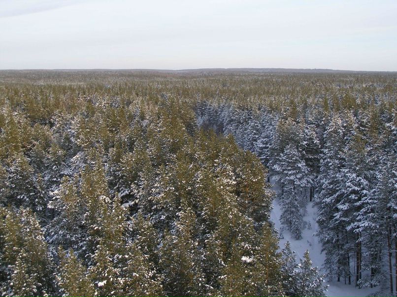 Алексей Друзин | Алатырь