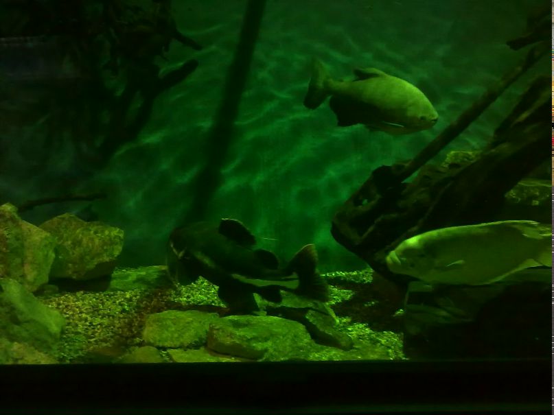 Ильдар Нуруллин | Казань