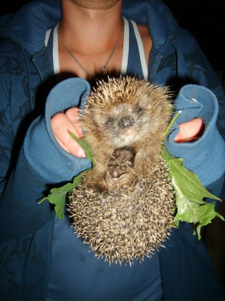 №20, Павел Юрич №20, Павел Юрич