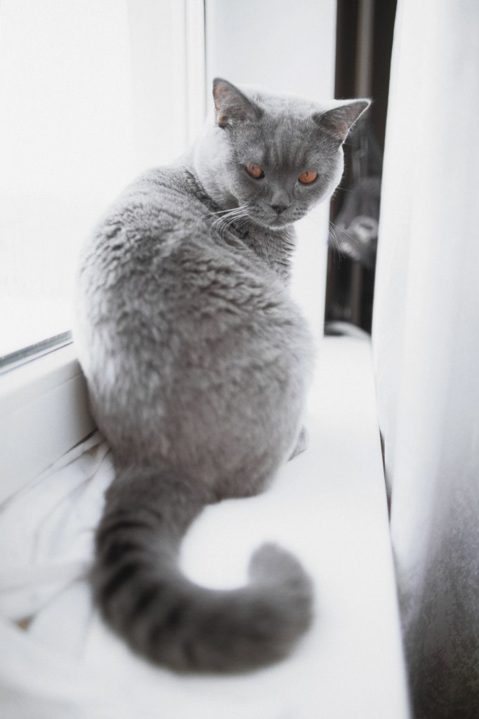 Nikolay Kazeev | Москва