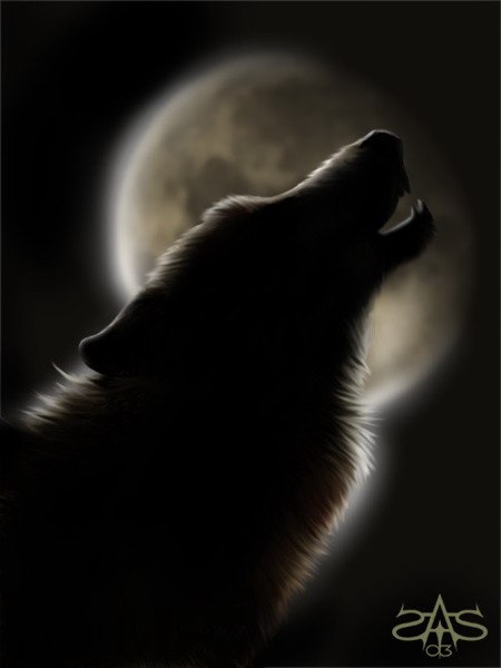 Яна Душина | Омск