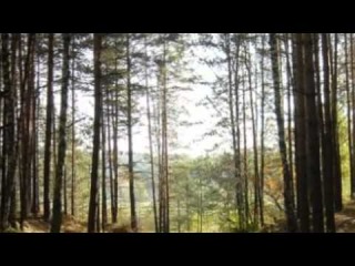 Народная Опера - Свет Моя Улица