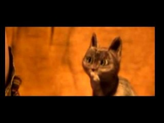 Обожаю этого кота))))