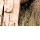 №18, Алина Деревянко, Харьков №18, Алина Деревянко, Харьков