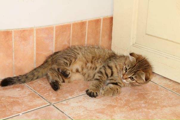 №45, Алёна Катеринчук, Warszawa №45, Алёна Катеринчук, Warszawa