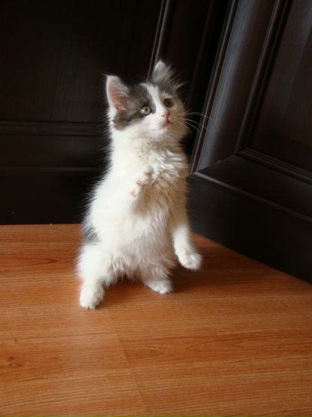 №97, Ольга Горбунова, Самара №97, Ольга Горбунова, Самара