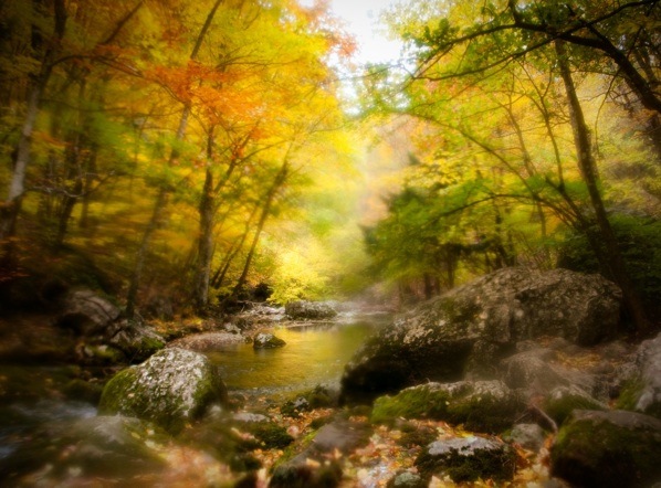 №62, Виктория Болькина, 37 лет, Киев №62, Виктория Болькина, 37 лет, Киев