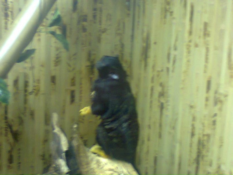 Анна Свищ ✿ܓBaRsY4kA✿ܓ | Харьков