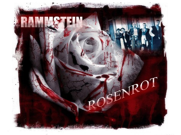 №19, Вячеслав Печёнкин №19, Вячеслав Печёнкин