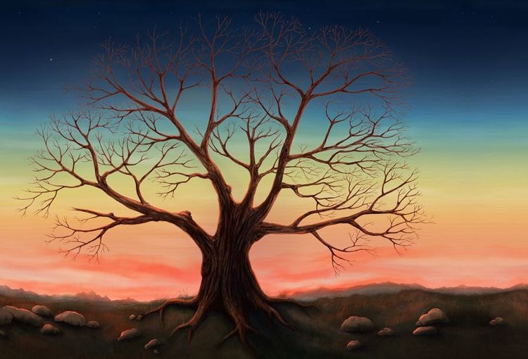 Эвелина Бондарева | Санкт-Петербург