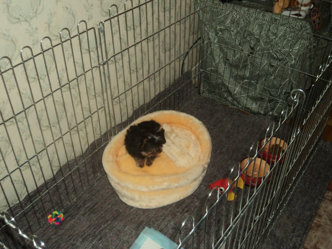 Анна Солдатенкова | Москва