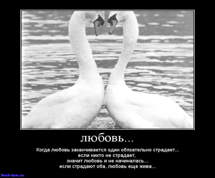 Сергей Громозов громи | Киров