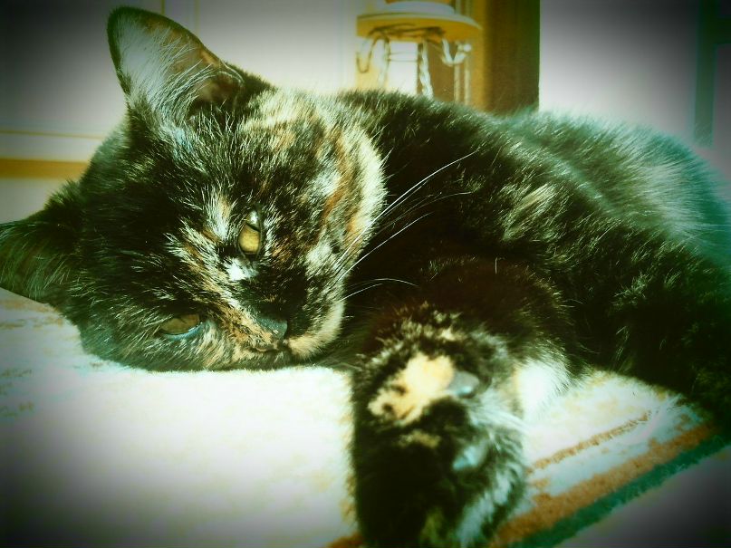 Александр Воронин | Горки