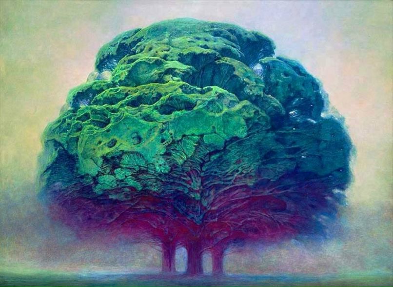 Евгений Чингаев | Санкт-Петербург