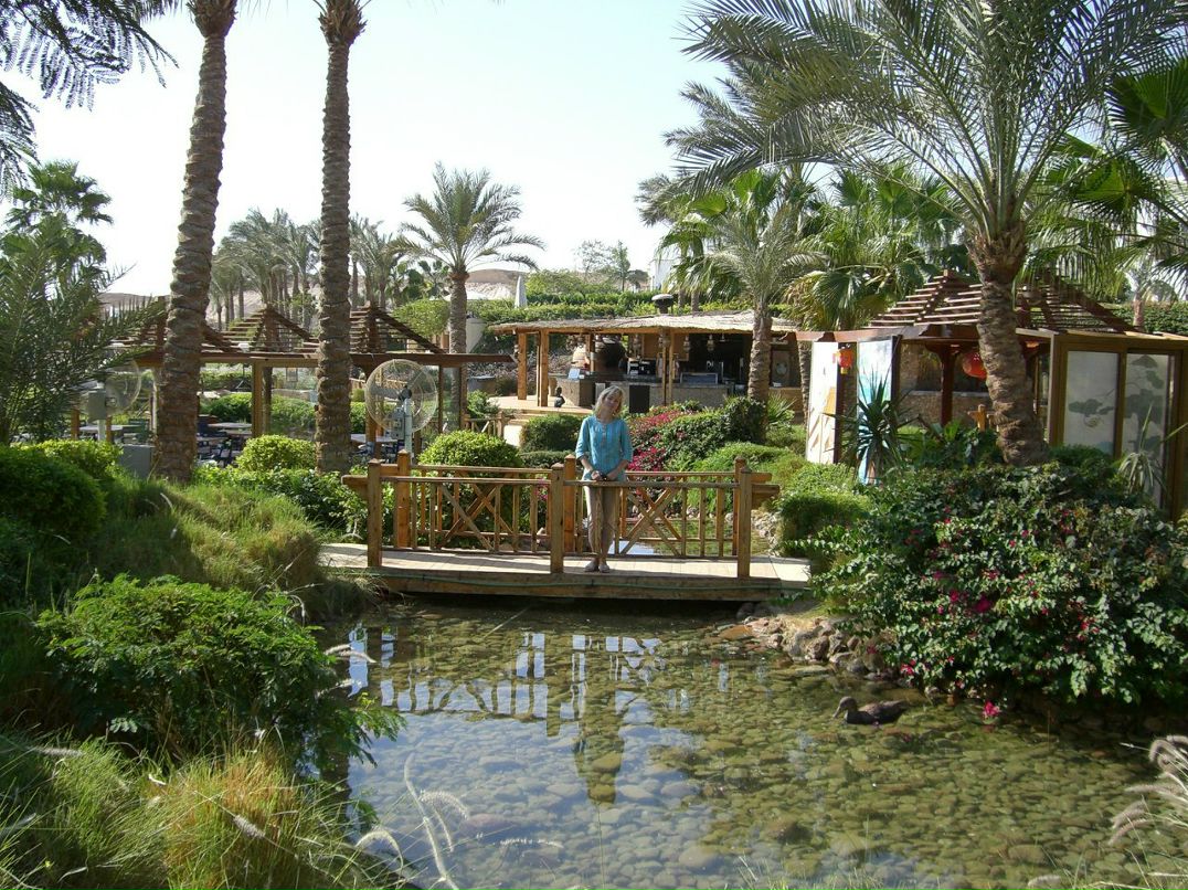 Татьяна Иденова | 