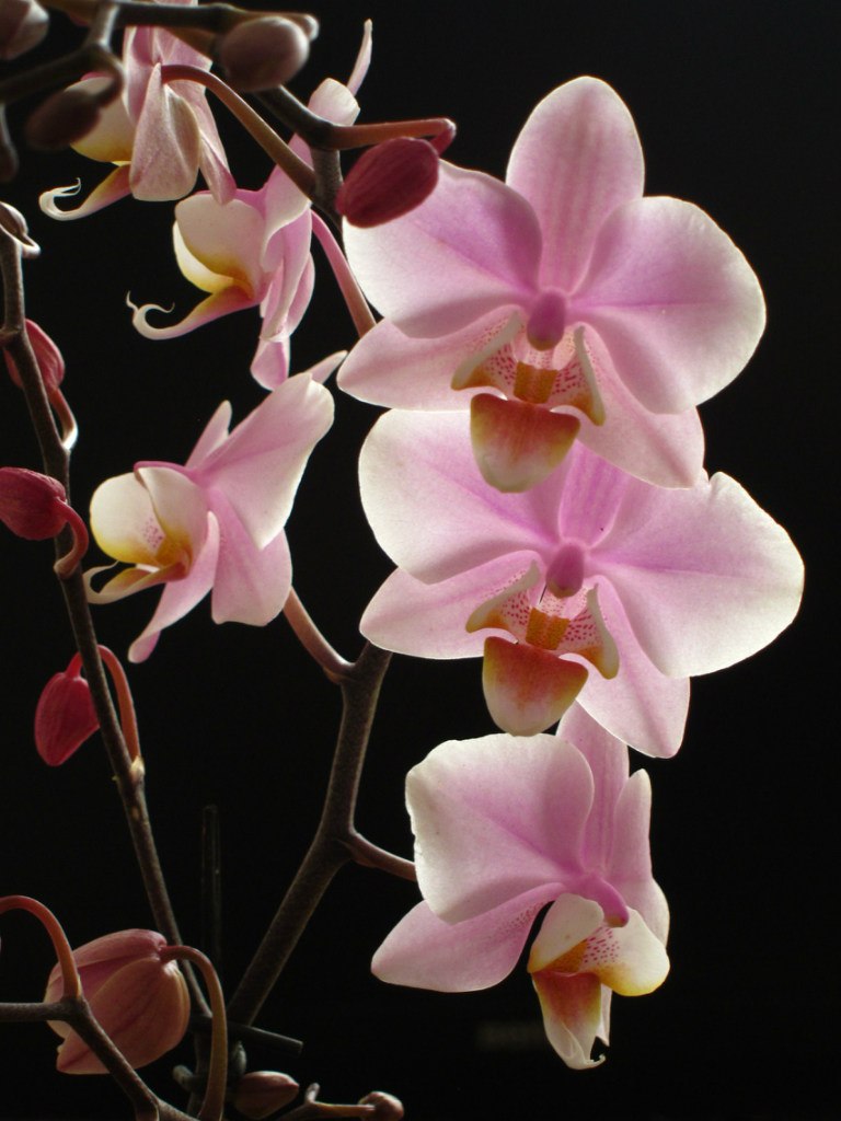 Ирина Кормакова | Мурманск