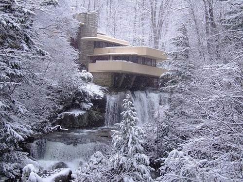 Алекс-Джейн Коул | Сумы