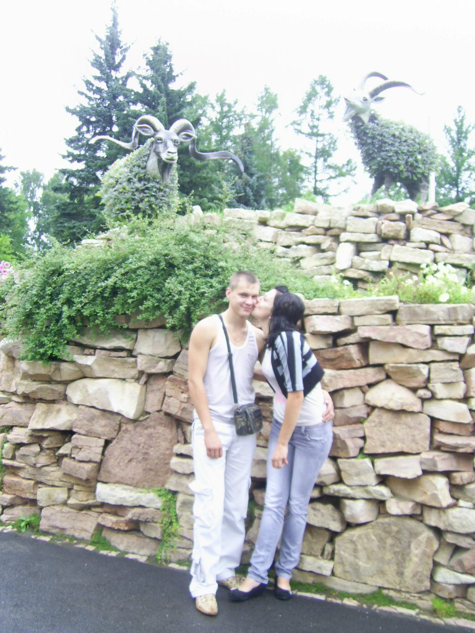 Анатолий Виноградов | Мошки