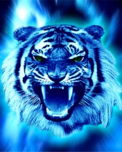 №10, Данил Реут №10, Данил Реут