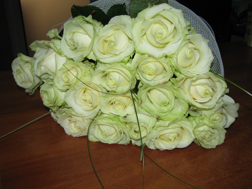 Lilia Коваль | 