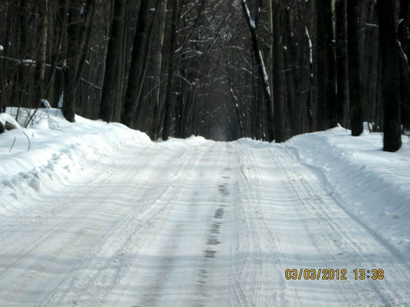 Юлия Горожанкина | Воронеж