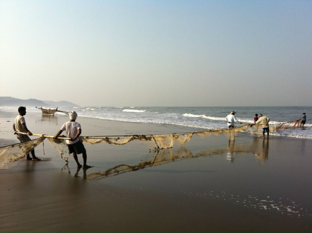 Анна Девицкая | Москва