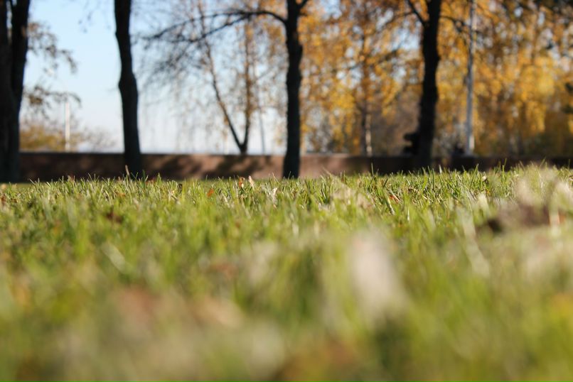 Артур Яхин | 