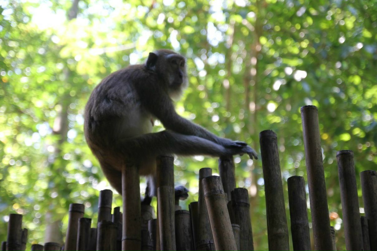 Михаил Дюмин | Москва