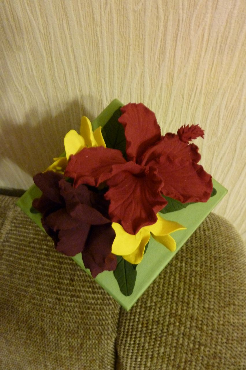 Алёна Федорова | Москва