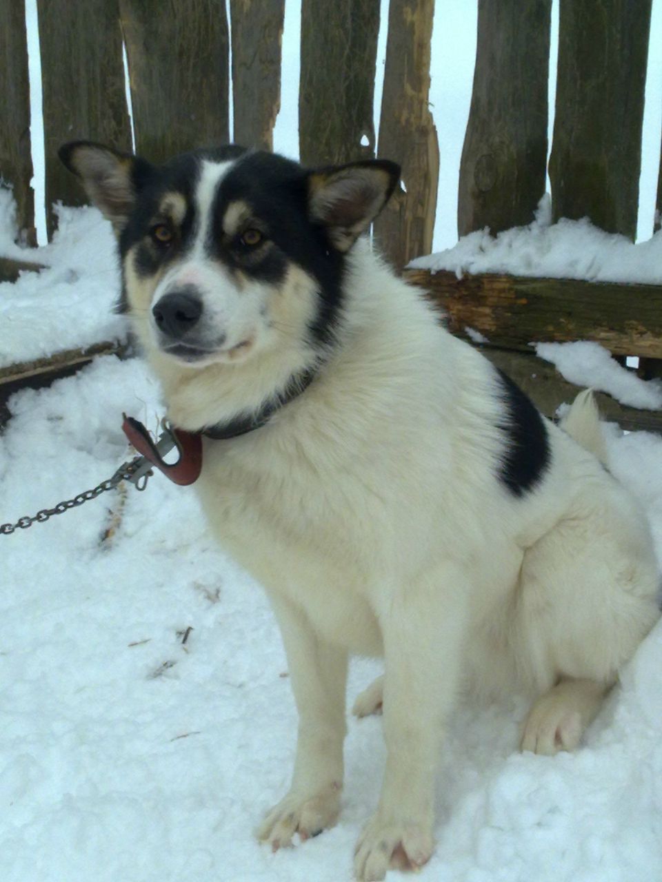 Таня Качанова | Москва