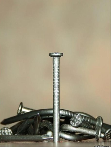 Марьяна Платонова | Кривой Рог