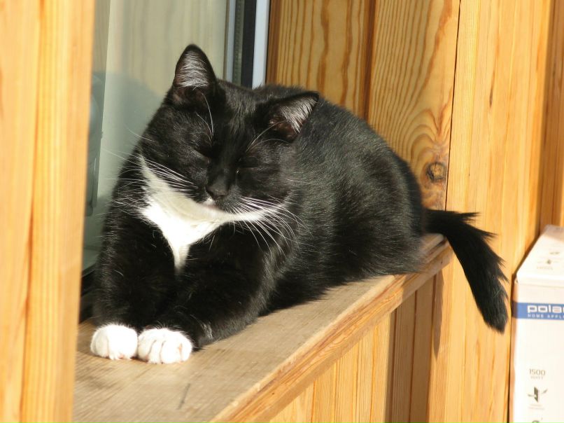 Марина Чфырчко | Тюмень