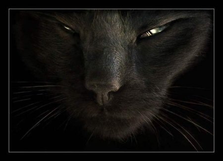 Игорь Иванов | Витебск