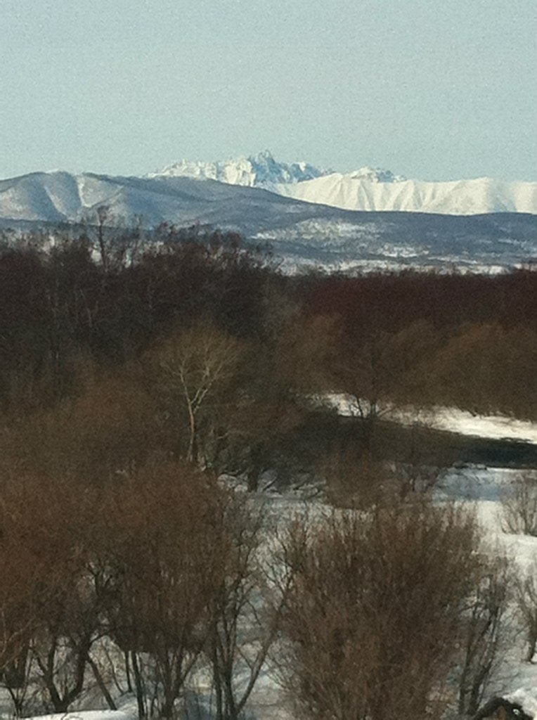 Елена Федосова | 