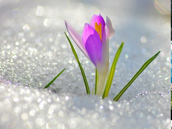 №96, Христина Козак, Львов №96, Христина Козак, Львов