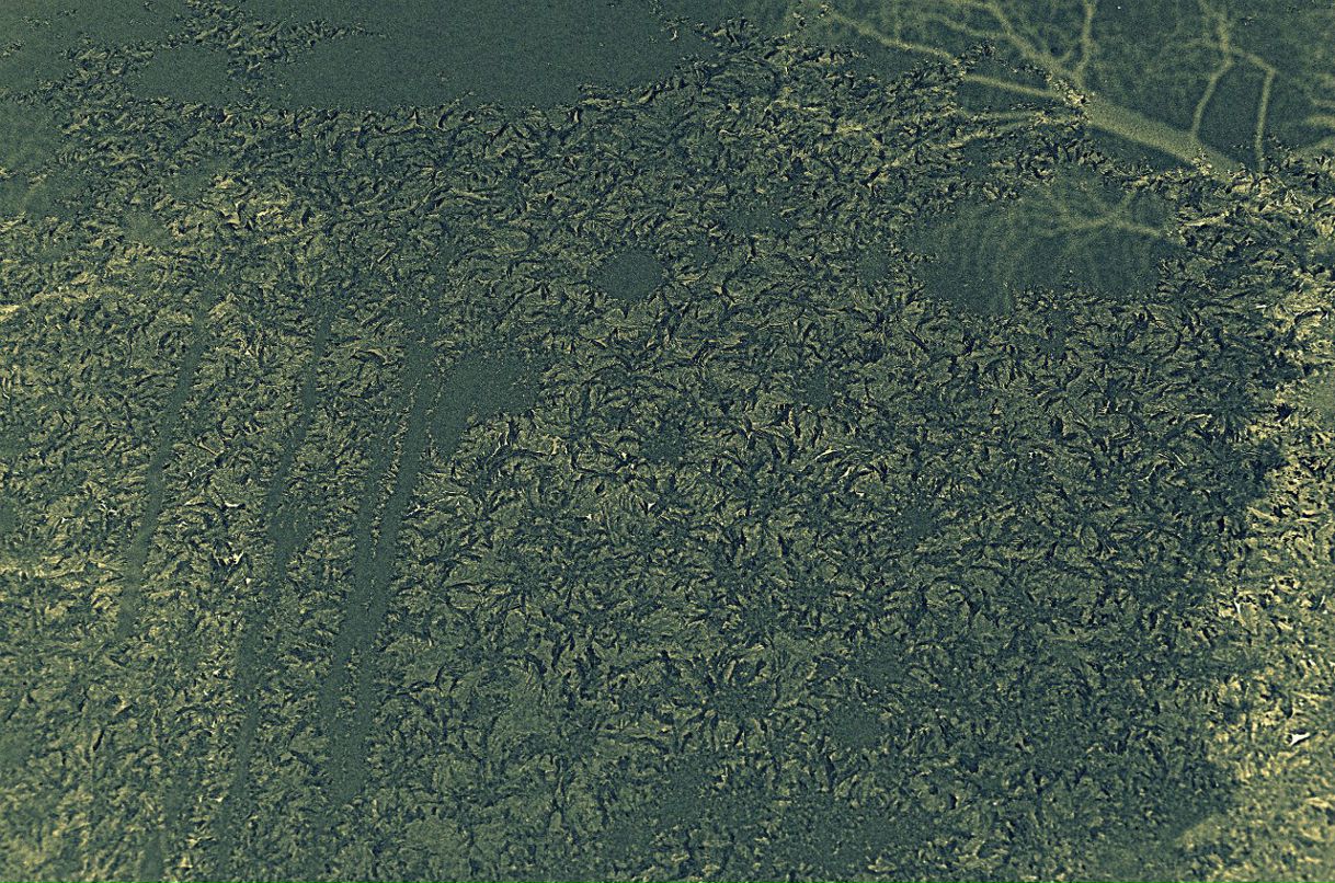 Галина Чугунова | Москва