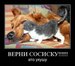 Диана Колесникова фотография #17