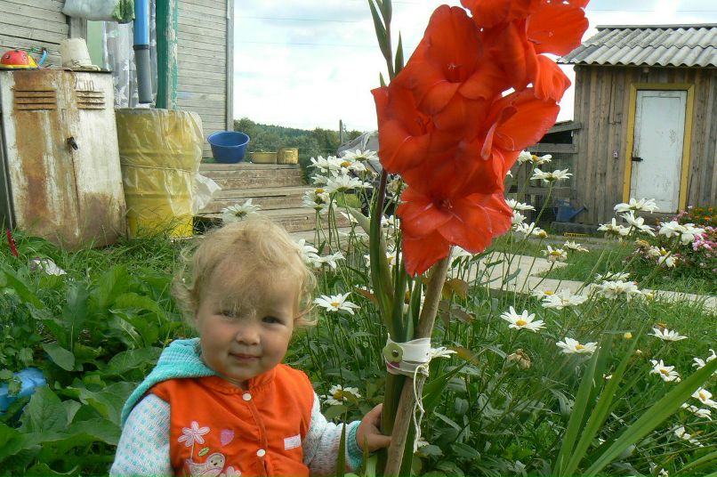 Илья Демидов | Пай