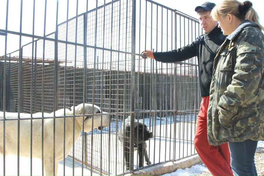 №48, Руслан Гордеев, Львов №48, Руслан Гордеев, Львов