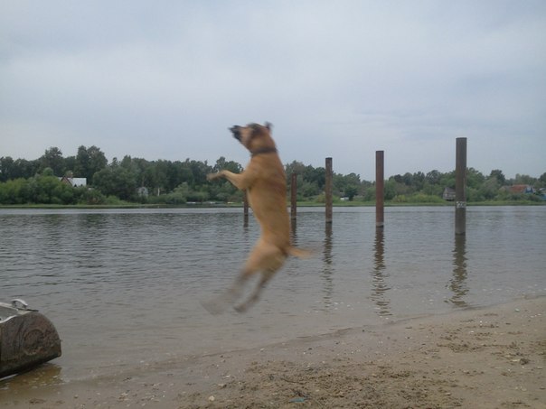 №30, Артур Измайлов, Казань №30, Артур Измайлов, Казань