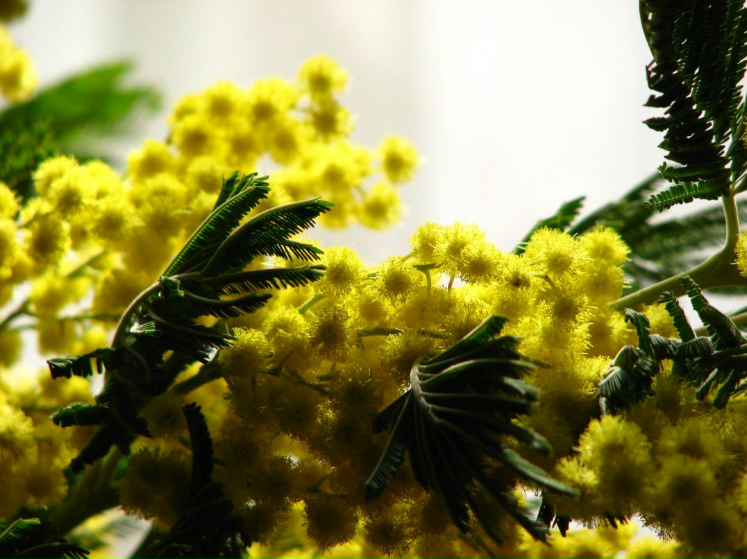 Алёна Прилепина | Ростов-на-Дону