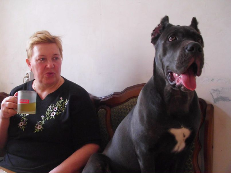 Анастасия Абросимова | Тула