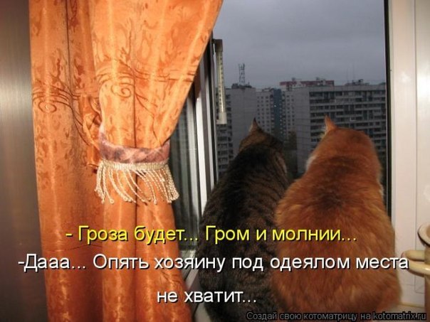 Елена Горохова | Москва