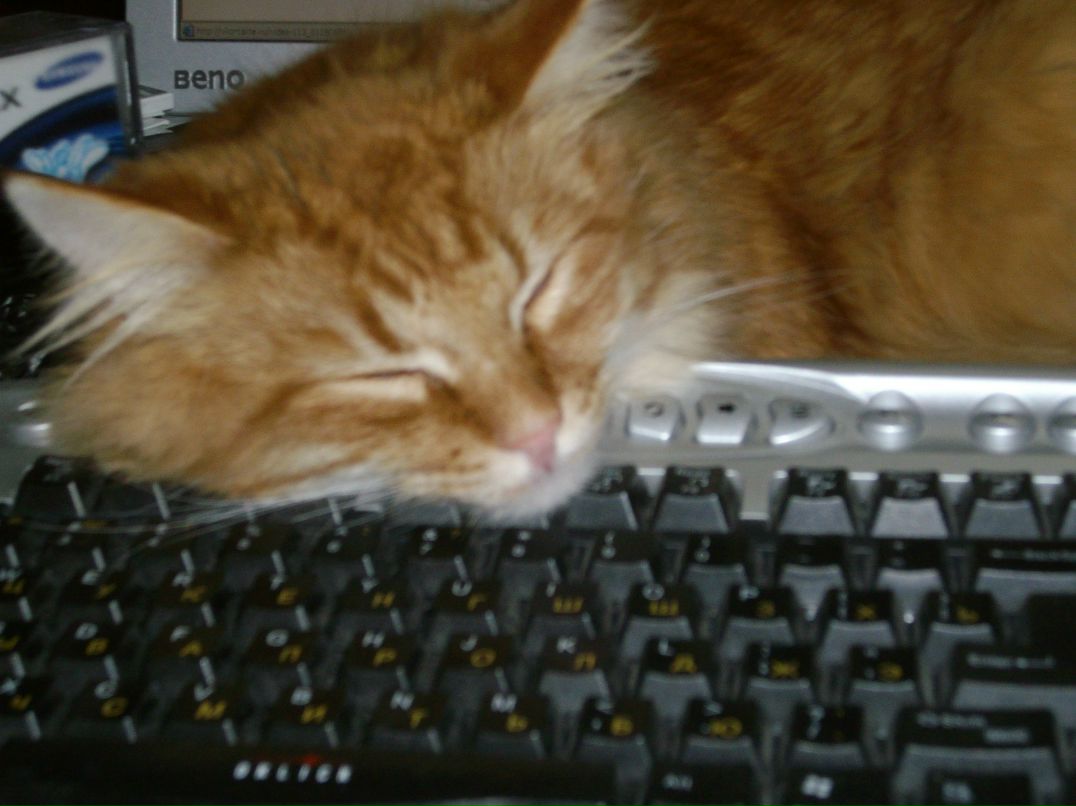 Hélène Push | Мурманск