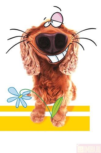 Юра Елкин | Киев