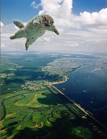 Елена Ширяева | 